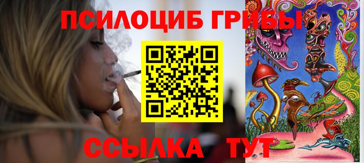 Псилоцибиновые грибы мухоморы Шатура