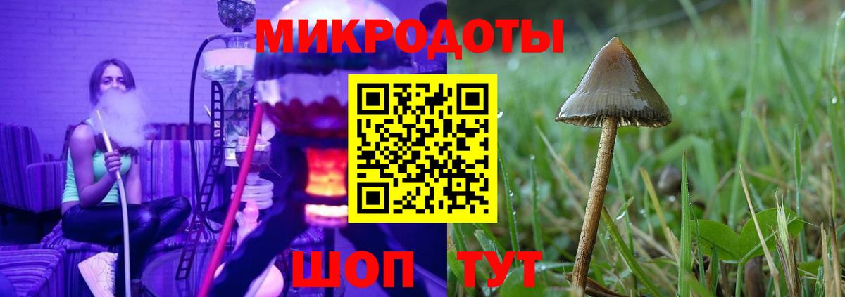 Шатура  Псилоцибиновые грибы Cubensis  Галлюциногенные грибы MAGIC MUSHROOMS  Вход с VPN 